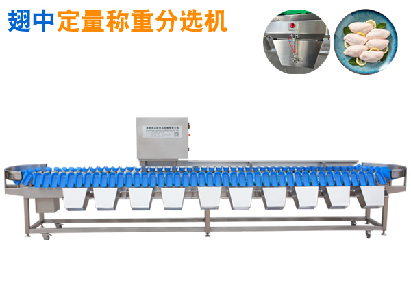 翅中定量称重分选机 托盘式分选机