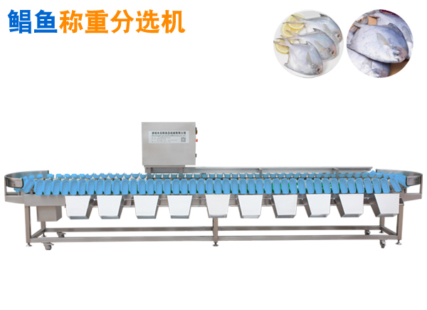 全自动称重定量不锈钢托盘式鲳鱼分选机挑头 定制托盘大小