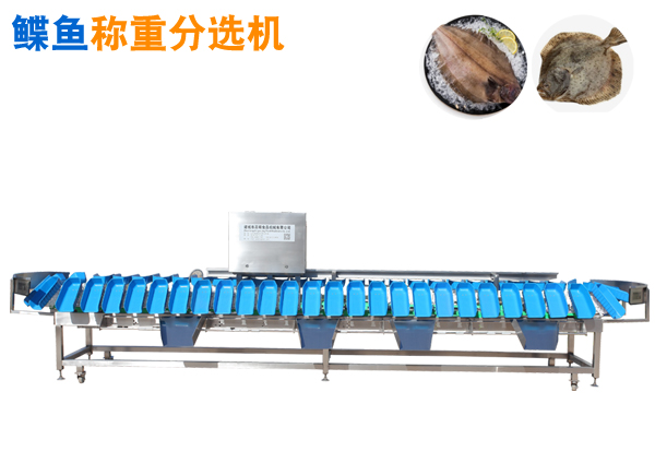 重量分选机 碟鱼称重分选机