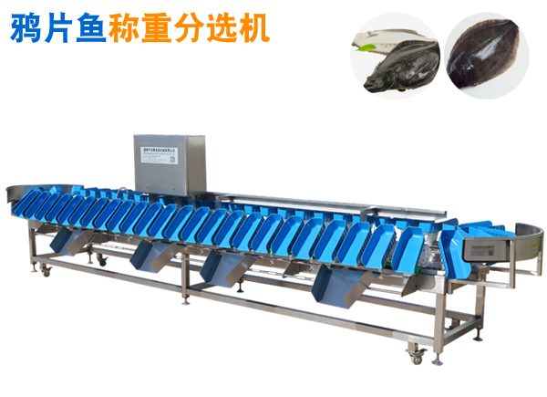 重量分选机 鸦片鱼称重分选机