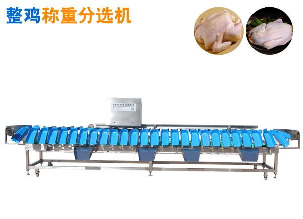 重量分选机 整鸡称重分选机