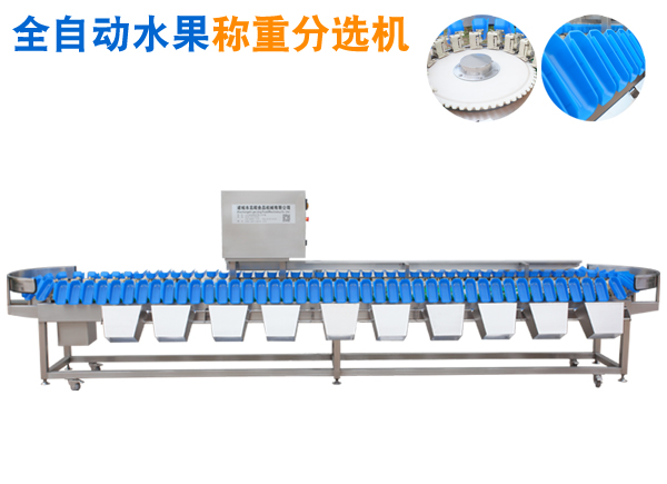 全自动水果重量分选设备