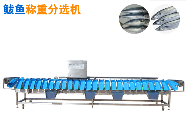 重量分选机 鲅鱼称重分选机