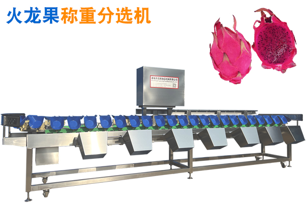 火龙果重量分选机 水果自动选果机 托盘式水果分选机
