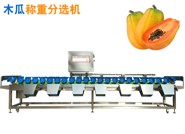 木瓜称重分选机 木瓜重量分级机 水果选果机 托盘式分选机