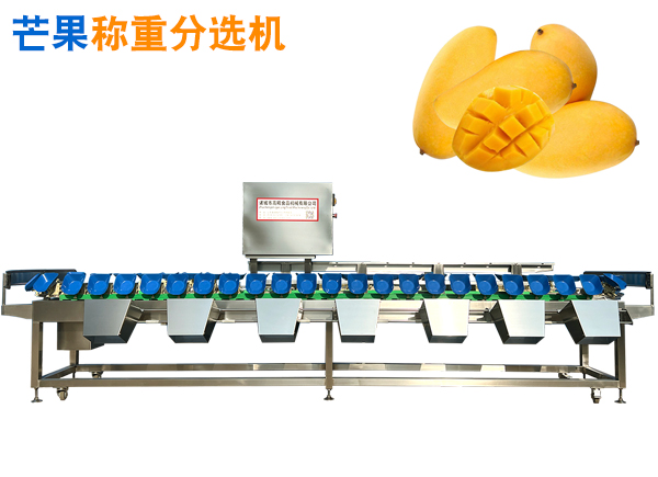 芒果称重分选机 芒果重量分选机 芒果果品选果机 水果分级机