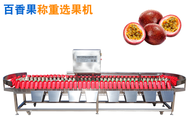 百香果选果机 精品水果选果机 百香果分选机