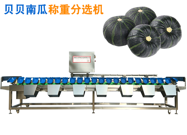 贝贝南瓜称重分选机 贝贝南瓜选果机 贝贝南瓜重量分拣机分级机