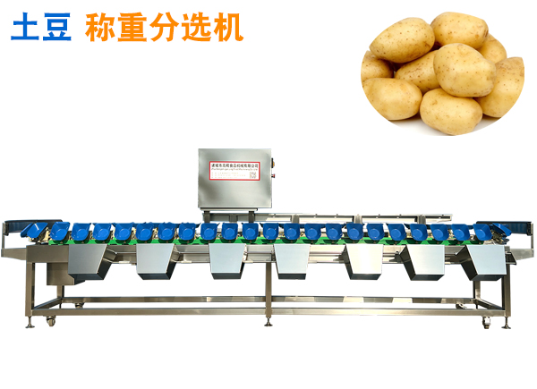 土豆重量分选机 土豆称重分拣机 蔬菜分果机洋山芋分选机