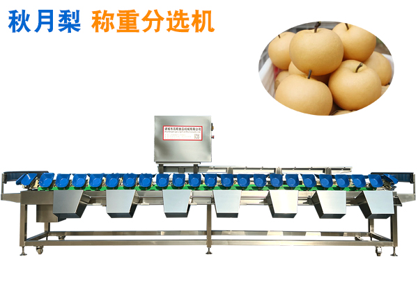 秋月梨称重分选机 砀山梨重量分选机 莱阳梨分选机 选果机