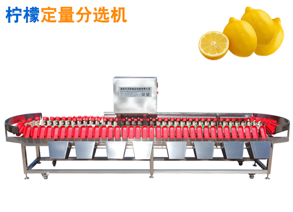 柠檬选果机 柠檬重量分选机  柠檬分拣机 称重分选机 分级机 选果机