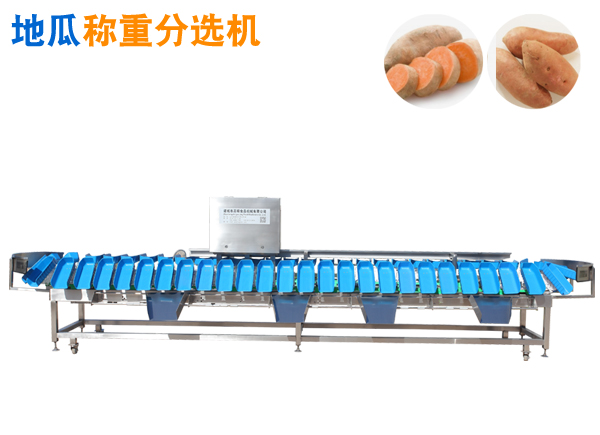 红薯重量分选机 甘薯分拣机 地瓜选果机 红薯称重分选机 分级机